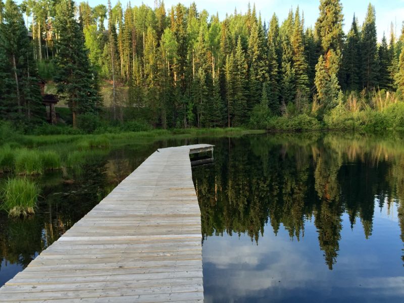 Dock Wood Replacement in Roswell, GA