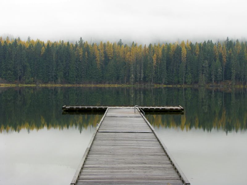 Pond Dock Construction in Denver, CO